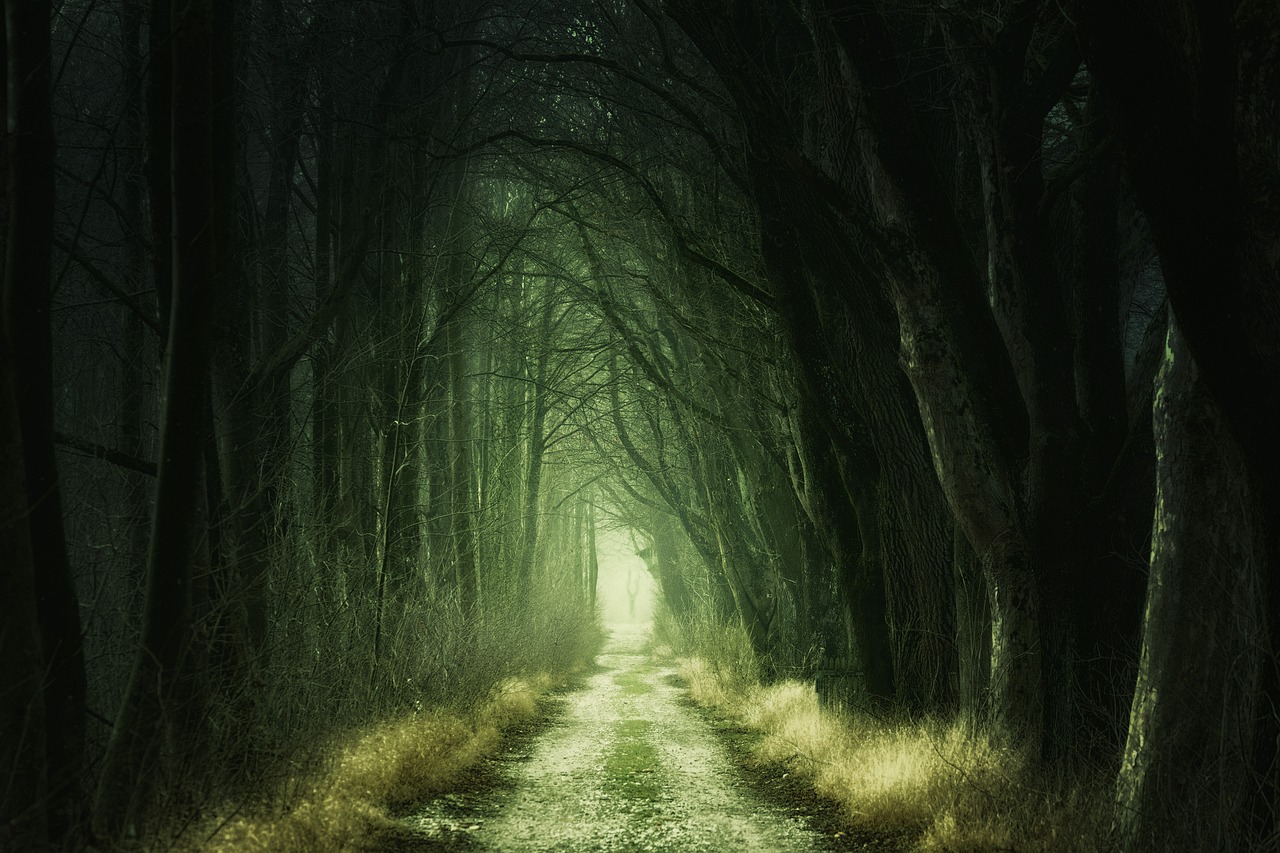 The Philosophy of the Green Movement and Its Politics